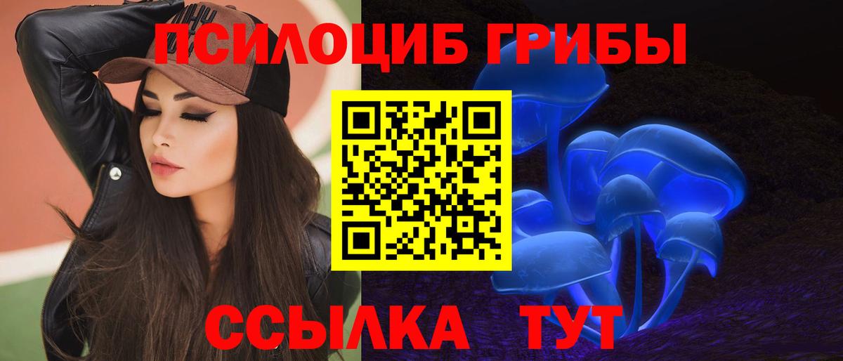 Псилоцибиновые грибы Psilocybine cubensis  Галлюциногенные грибы Cubensis  Оренбург  Вход с VPN 